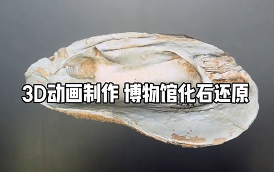 3d動畫制作：展廳視覺內容整包