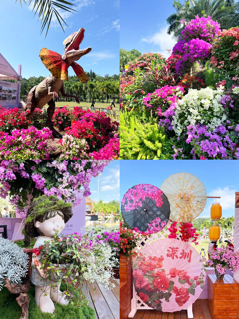 蓮花山花展如何“撐起”那一片藝術天空？